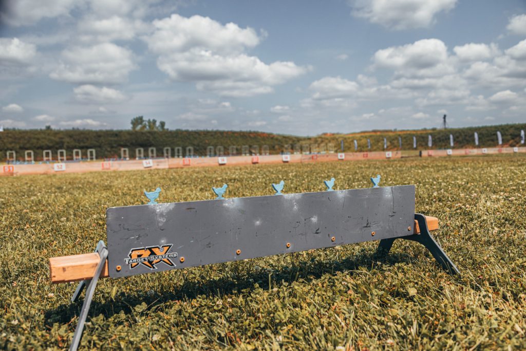 Those pesky RX Target Systems Chickens!